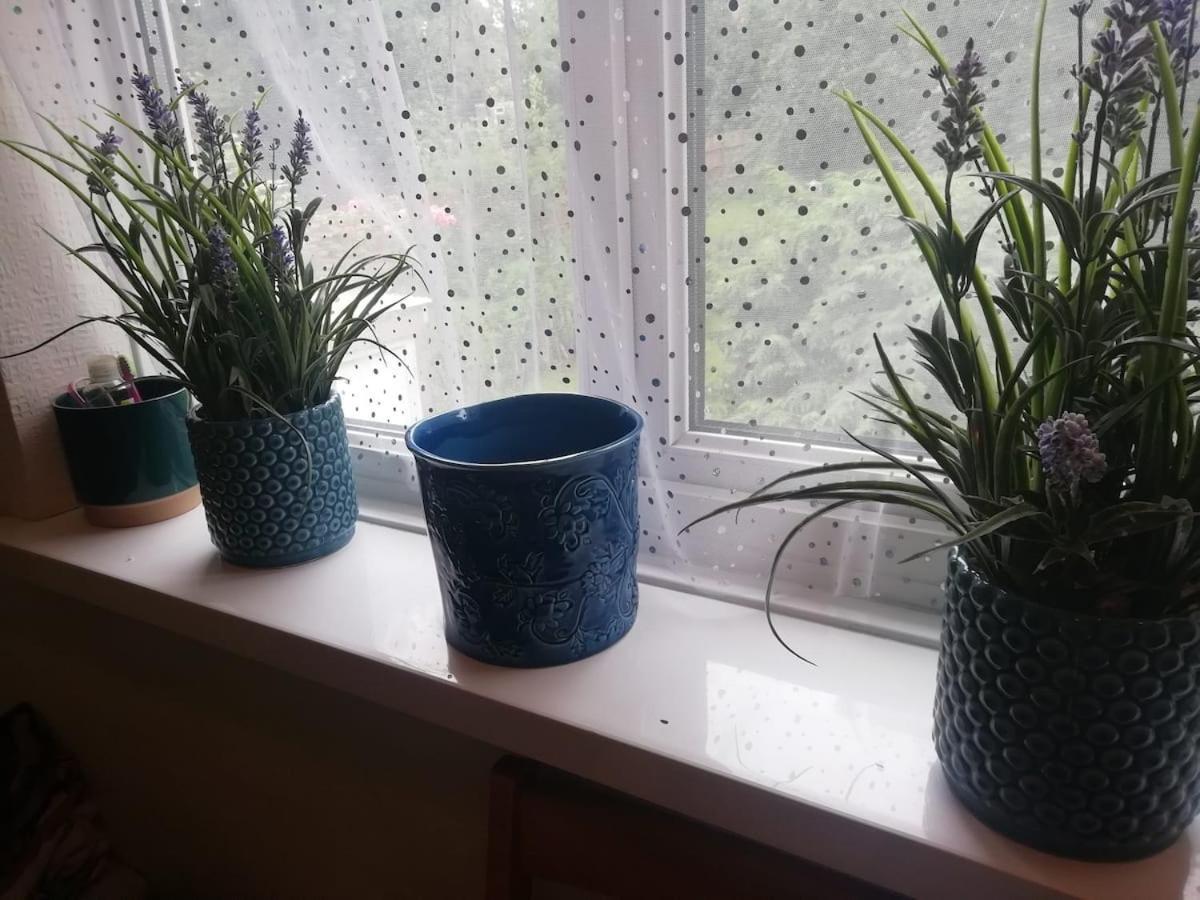 Single Bedroom In A Cozy Maisonette - 布希 外观 照片